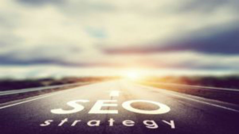 Why You Need Professional Search Engine Optimization Services